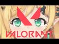 【  VALO 】กำแพงงงงงงงง
