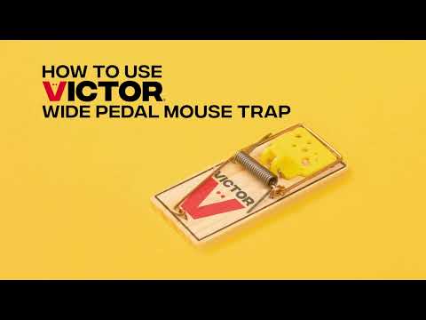 How to Set the Victor® Wide Pedal Mouse Trap