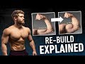 How To Re-Build Muscle FAST After A Training Break [+ Free Program]