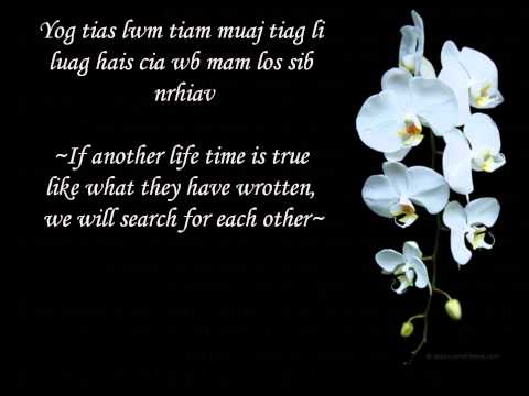 Luj Yaj- Vim Tsawg Ib Los Lus~ Because Shorten a Word