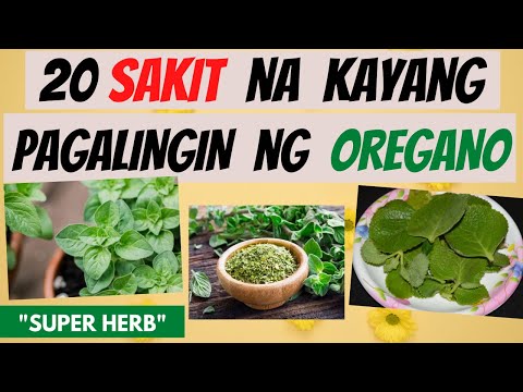 OREGANO -  mga SAKIT na kayang pagalingin at Health BENEFITS | GAMOT, LUNAS | Herbal Cures