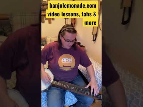 🪕 Banjo Girl - Silent Night on Lap-jo | Banjo Dulcimer hybrid #shorts