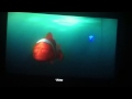 Dory Tells Marlin Not To Go