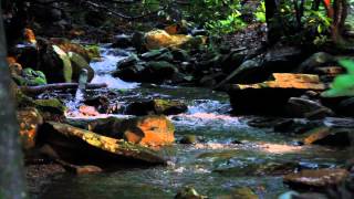 preview picture of video 'Bear Creek near Nantahala National Park'