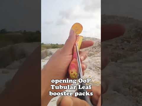 opening tubular leaf booster packs