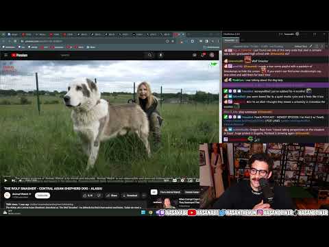 Hasan Reacts To The Central Asian Shepherd Dog + Cats Videos