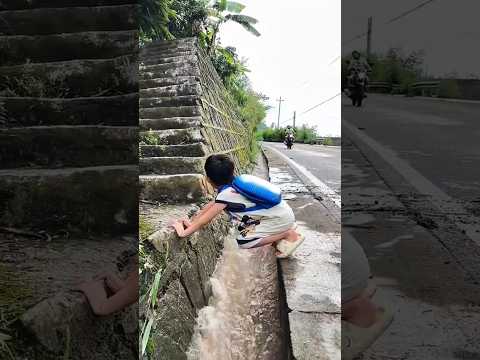 He Saved a Little Boy… Then Built a Bridge That Changed Everything ❤️