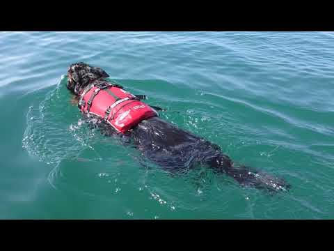 2018.04.22 EURO-Trip 2018 GARGANO Italien: KÜSTENPADDELN - Follow the sun (Xavier Rudd)