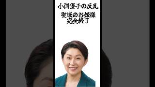 小渕優子の反乱　聖域のお姫様完全終了#小渕優子#自民党 # 高市早苗 #税制