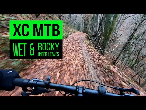 Cross Country Mountain Biking (XC MTB) On Gorjanci In Wet and Rocky Terrain