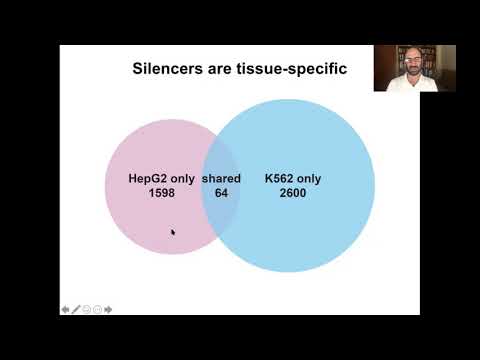 Mike Snyder: Noncoding regions in cancer and silencers