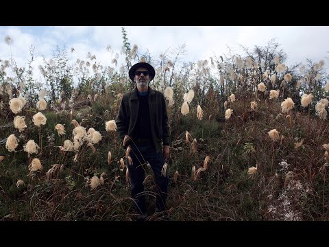 In Tall Buildings (John Hartford) : Dolinman X Diptanshu