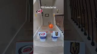 Air Corgi Picks Stanley Cup Final Winner ????