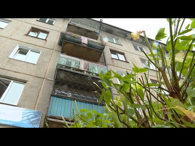 Пилить – не сажать