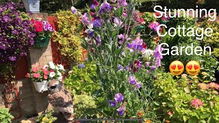 Extraordinary English Cottage Garden. Packed with Colour & Life. TOUR. Stunning.