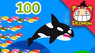 100 Sharks song | Animal songs | Nursery Rhymes | REDMON