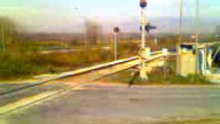 preview picture of video 'Greek Railways Macedonia - Freight Train to Promaxonas'