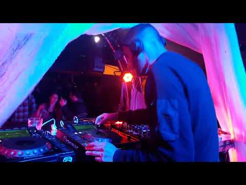 Nems B x 29 10 16 x Nuba