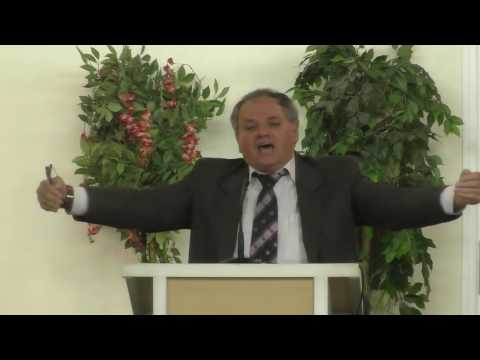 Nelu Bochian - Străjerii familiei