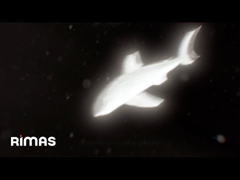 Miniatura de El Trote