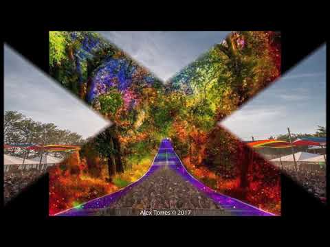 Pixel Homega vs Vini Vici - Flash Back