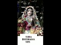 Radha rani hame bhi bata do jara - tera diwana kese huwa sawra || WhatsApp status|| radha rani whats Radha rani hame bhi bata do jara - tera diwana kese huwa sawra || WhatsApp status|| radha rani whats