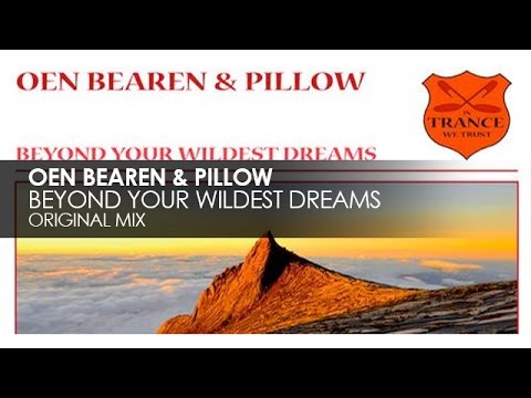Oen Bearen and Pillow - Beyond Your Wildest Dreams