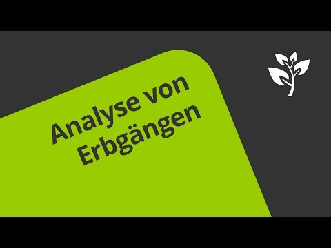 Der Stammbaum: Analyse des Erbganges | Biologie | Genetik