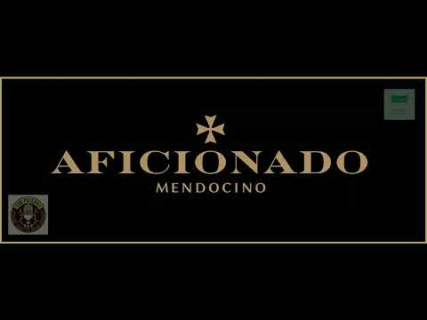 Episode 31 ft Leo Stone of Aficionado Seeds - 22/11/18