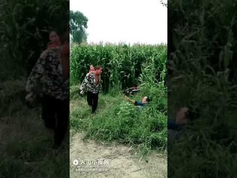 XXX এর ভিডিও