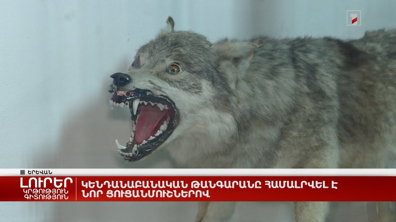 Կենդանաբանական թանգարանը համալրվել է նոր ցուցանմուշներով