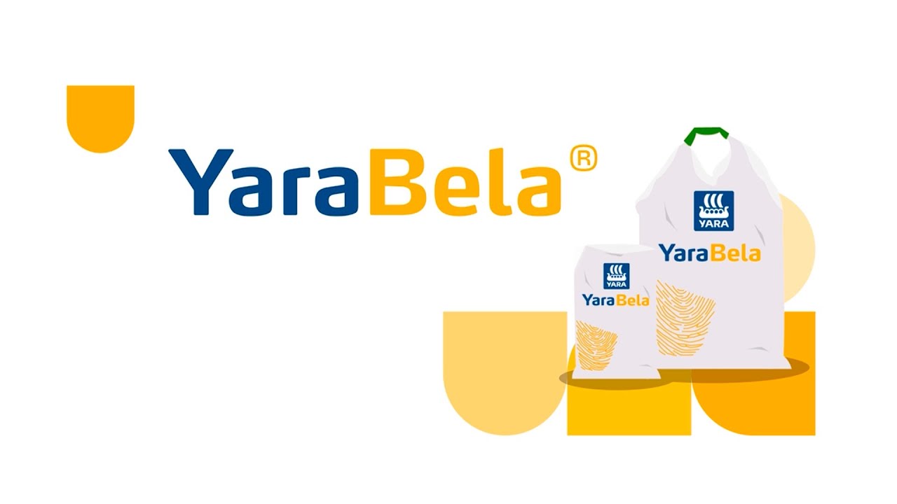 Conheça o YaraBela