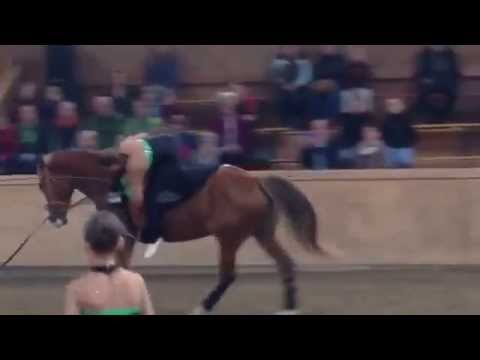 Einzel A Pflicht - Pequeno Companero - RVV Messendorfberg - 1. STMK-Cup