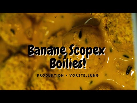 Banane Scopex Boilieproduktion 🍌🐳🍬 - ein alter Klassiker im neuen Gewand Boilies OR-Baits