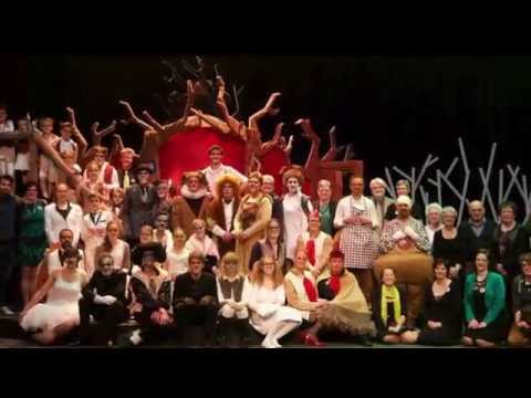 Trailer Reinaert de musical