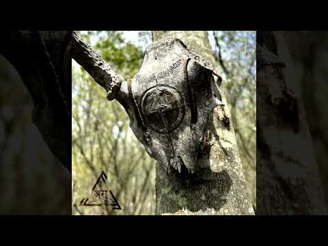 Ansuz Society - Galdrar, Vol.4 (Full Compilation)