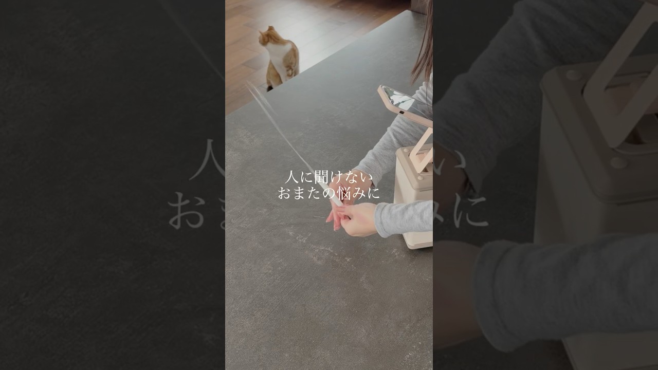 フォロワーさんとおまたの話をした結果…