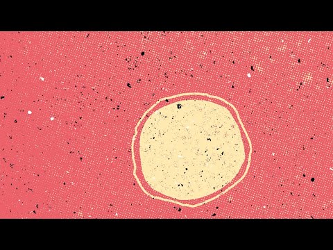 Zajnal - Pusztafless