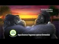 Air Wick Commercial Romantic Evening