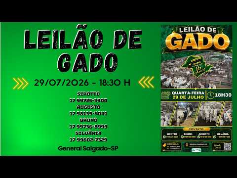 LEILÃO DE GADO  -  SIROTTO LEILÕES - GENERAL SALGADO - SP  - 29/07/2026
