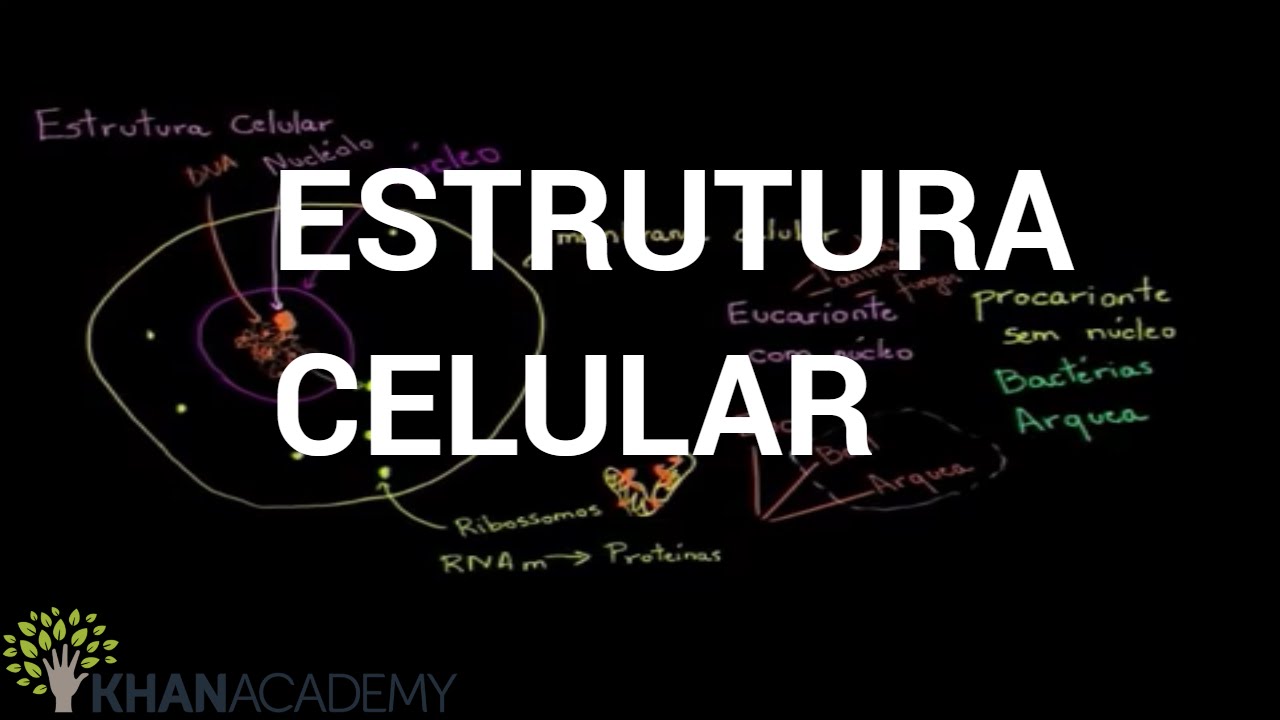 Estrutura Celular | Biologia | Khan Academy