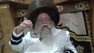 עמל פה - שיחה במצ"ש פרשת בהר בחקתי תשפ"ו מהצדיק רבי יצחק לעזער שליט"א