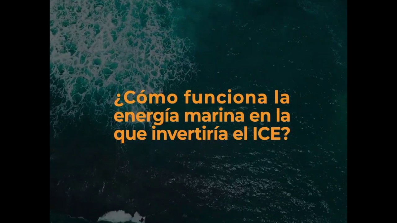 ¿cómo funciona la en