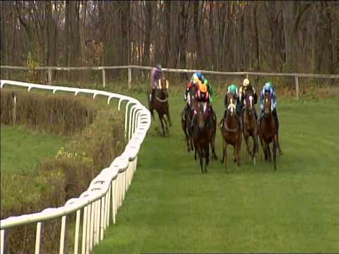 Galopprennbahn Dresden 18.11.2015 - 1.Rennen