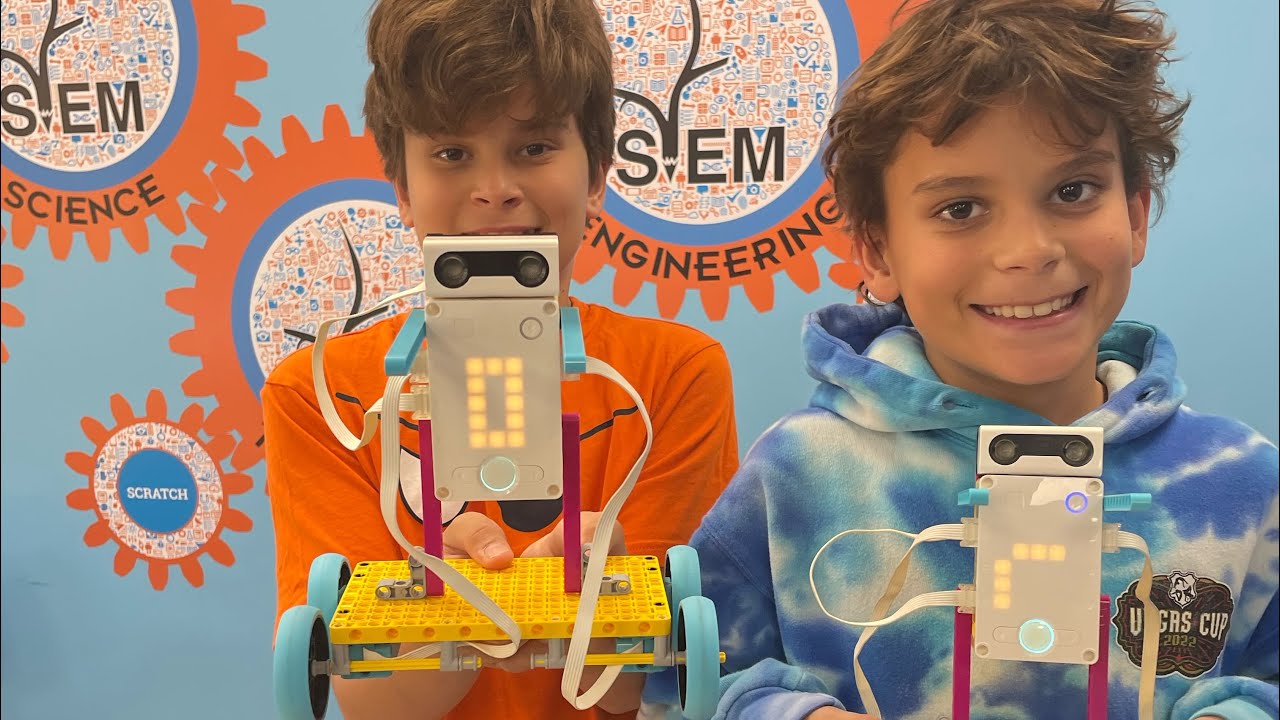 Stemtree Summer Camp
