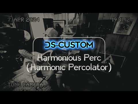 DS Custom Audio Electronics Perc – Modded Harmonic Percolator image 4