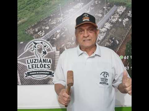 LUZIÂNIA LEILÕES - LUZIÂNIA GO - 13/08/2026