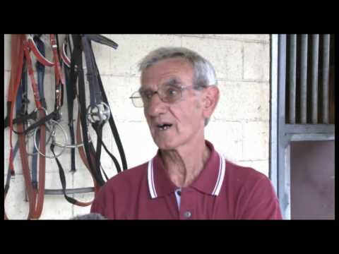 Magic Millions Race Day Preview - Karuta Queen