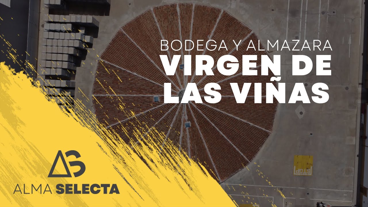 Video - VINOS TOMILLAR