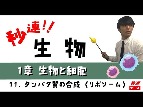 看護学科 【秒速ナース】1-11タンパク質の合成【生物-授業動画】
